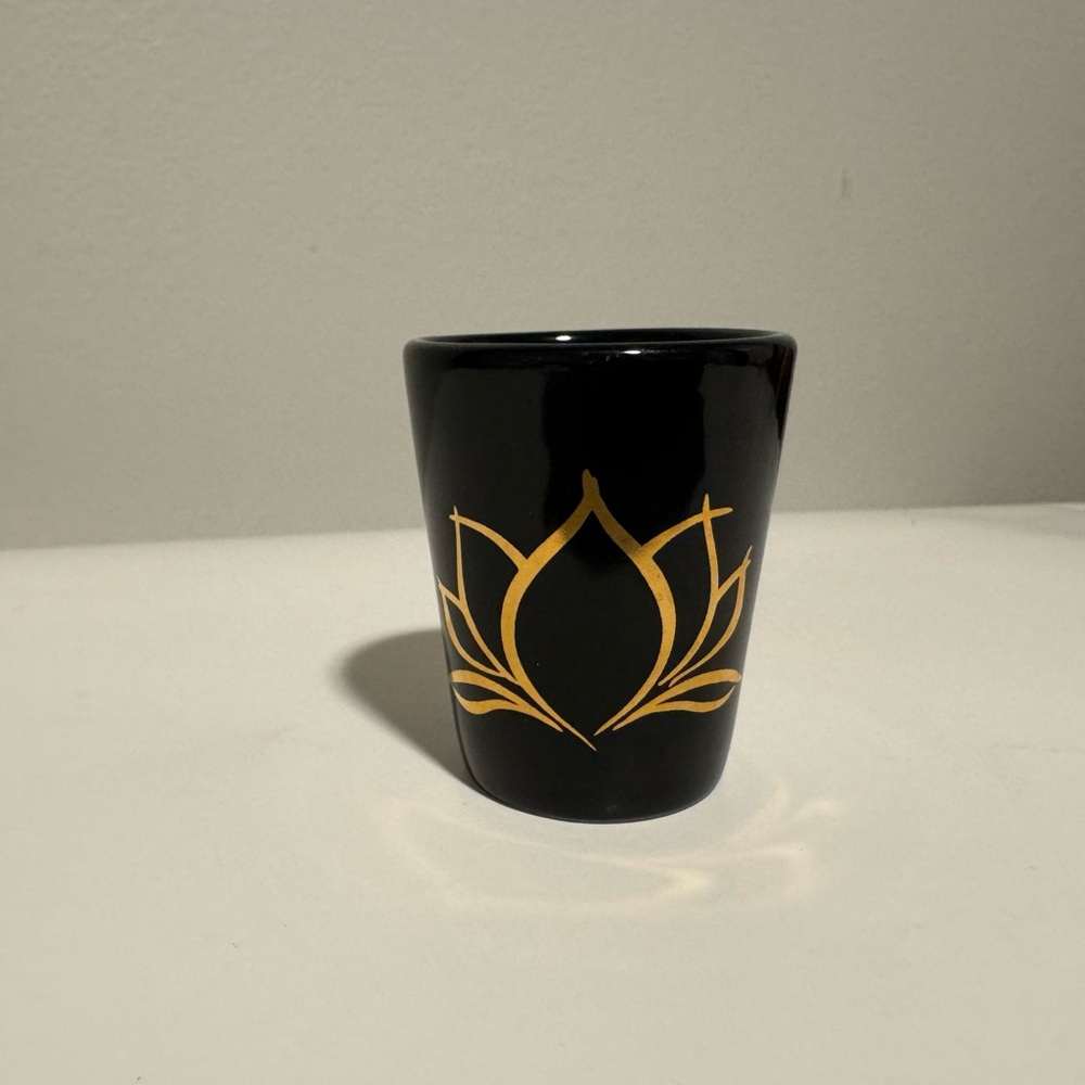 Disney Animal Kingdom Rivers of Light shot glass - Picture 1 of 4